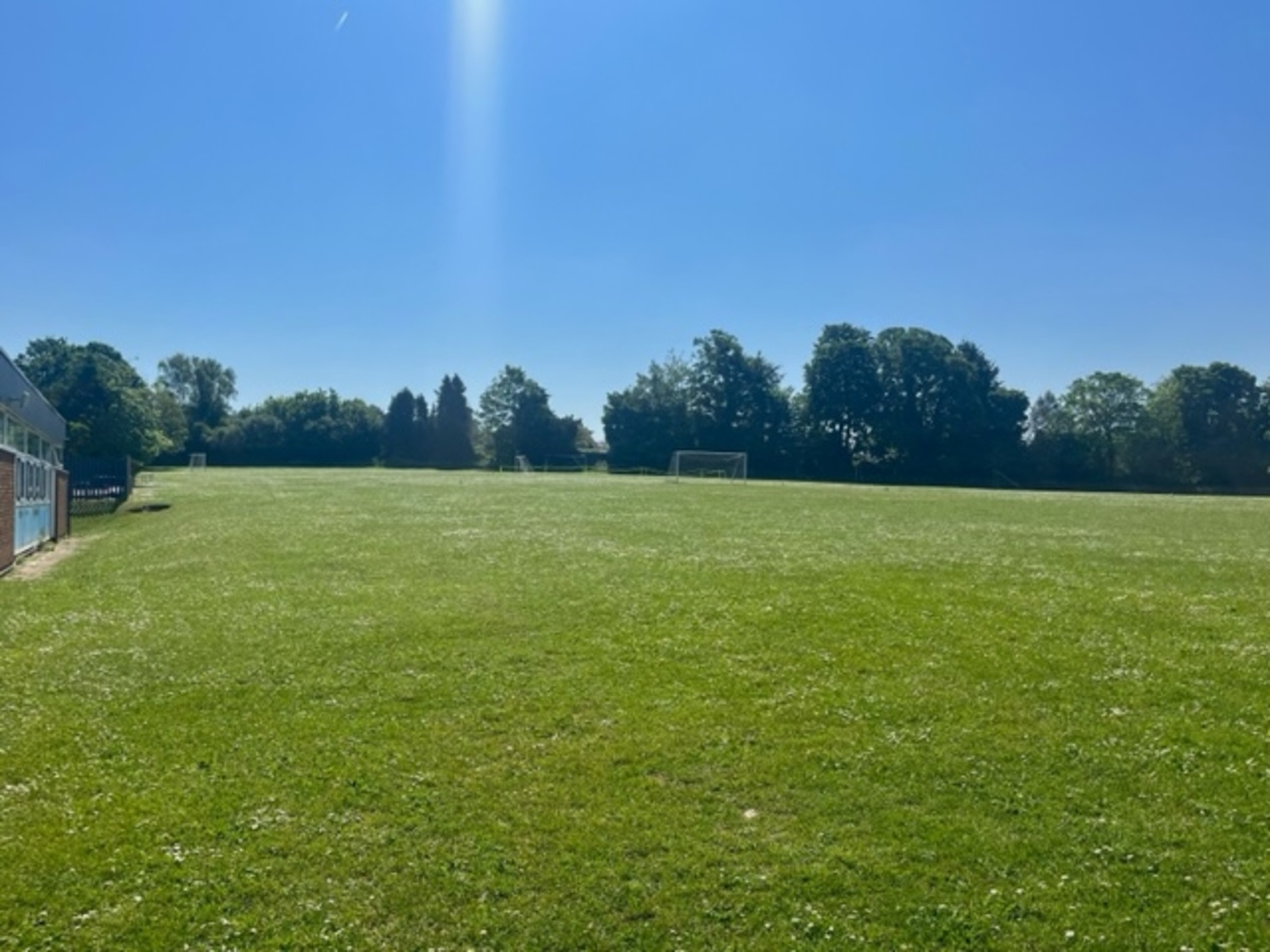 Field Shawley