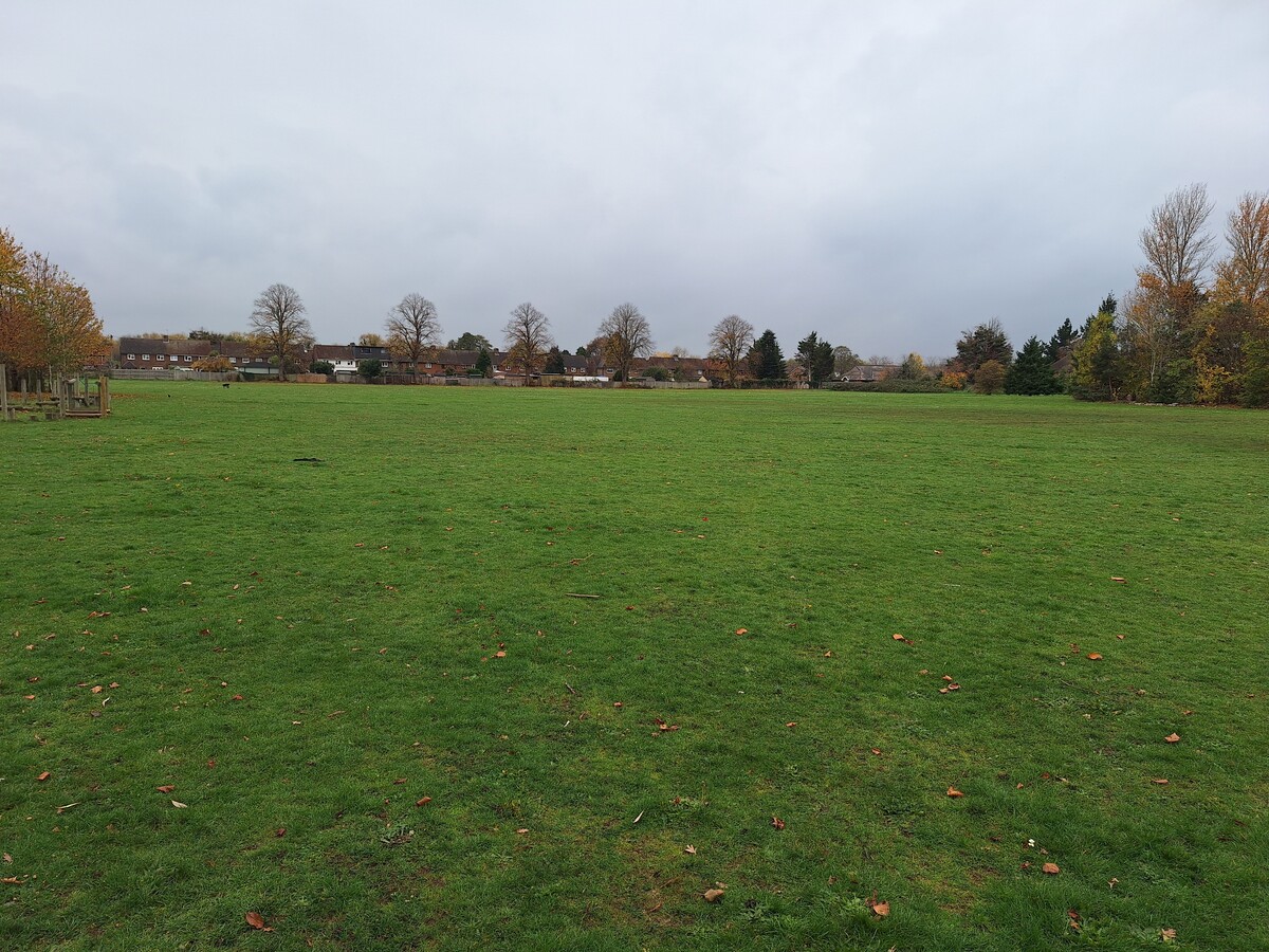 Grass field cf